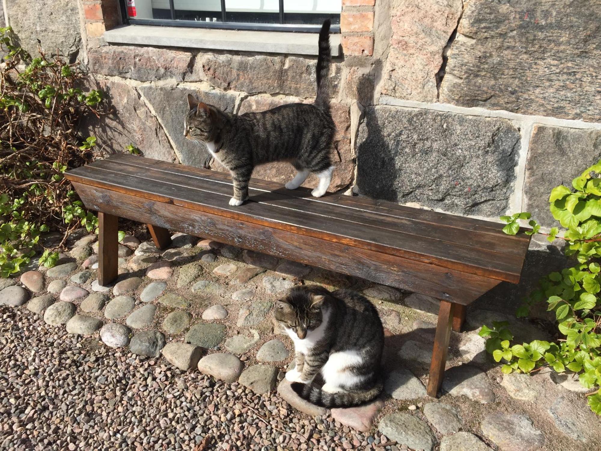 Lyckas Gards Gaestboende Höganäs 外观 照片